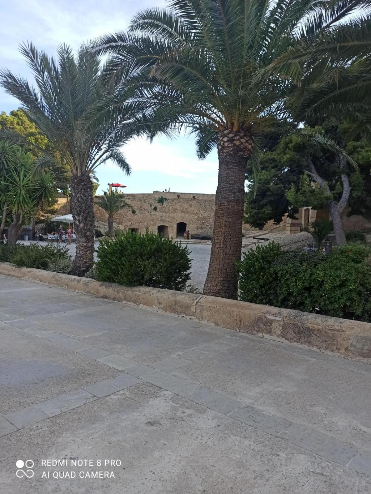 Ricardo Hostal Apartamento 3 Habitaciones Αλικάντε Εξωτερικό φωτογραφία